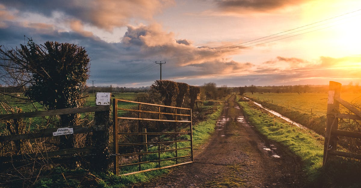 Peaceful rural landscape with open gate and sunset sky, highlighting a dirt path through farmland.